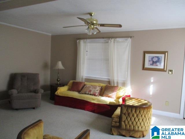 109 Hawkins Road Springville, AL 35146 - Photo 2 of 24