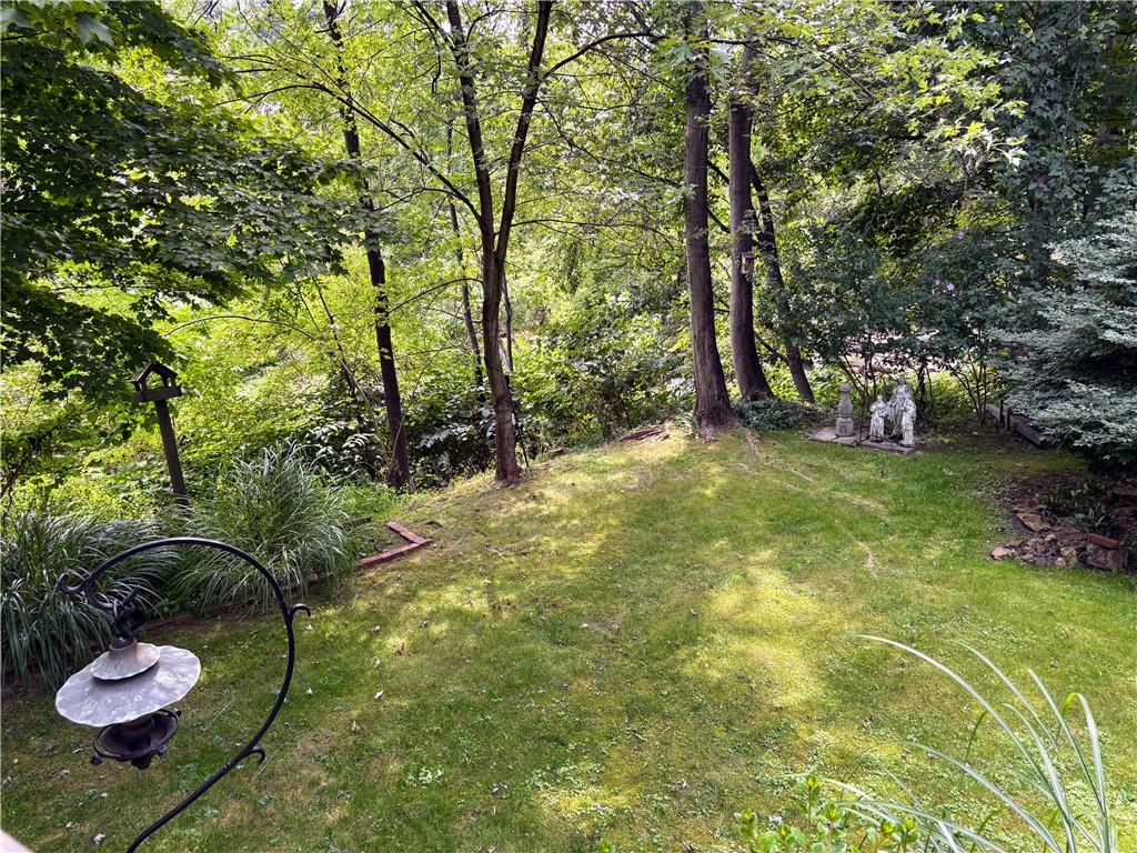 1082 Milltown Road Verona, PA 15147 - Photo 19 of 45 Lighting/great escape!