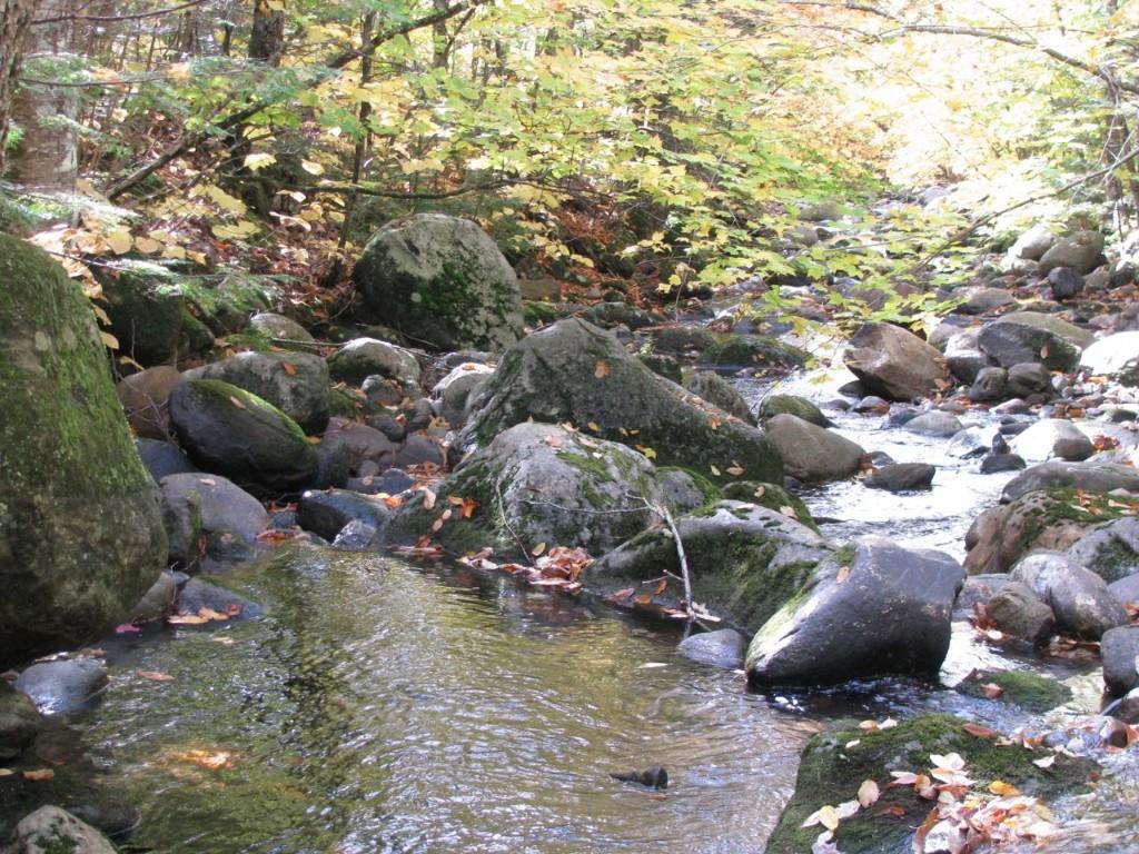 0 Basin Carthage, ME 04224 - Photo 25 of 29 Photo