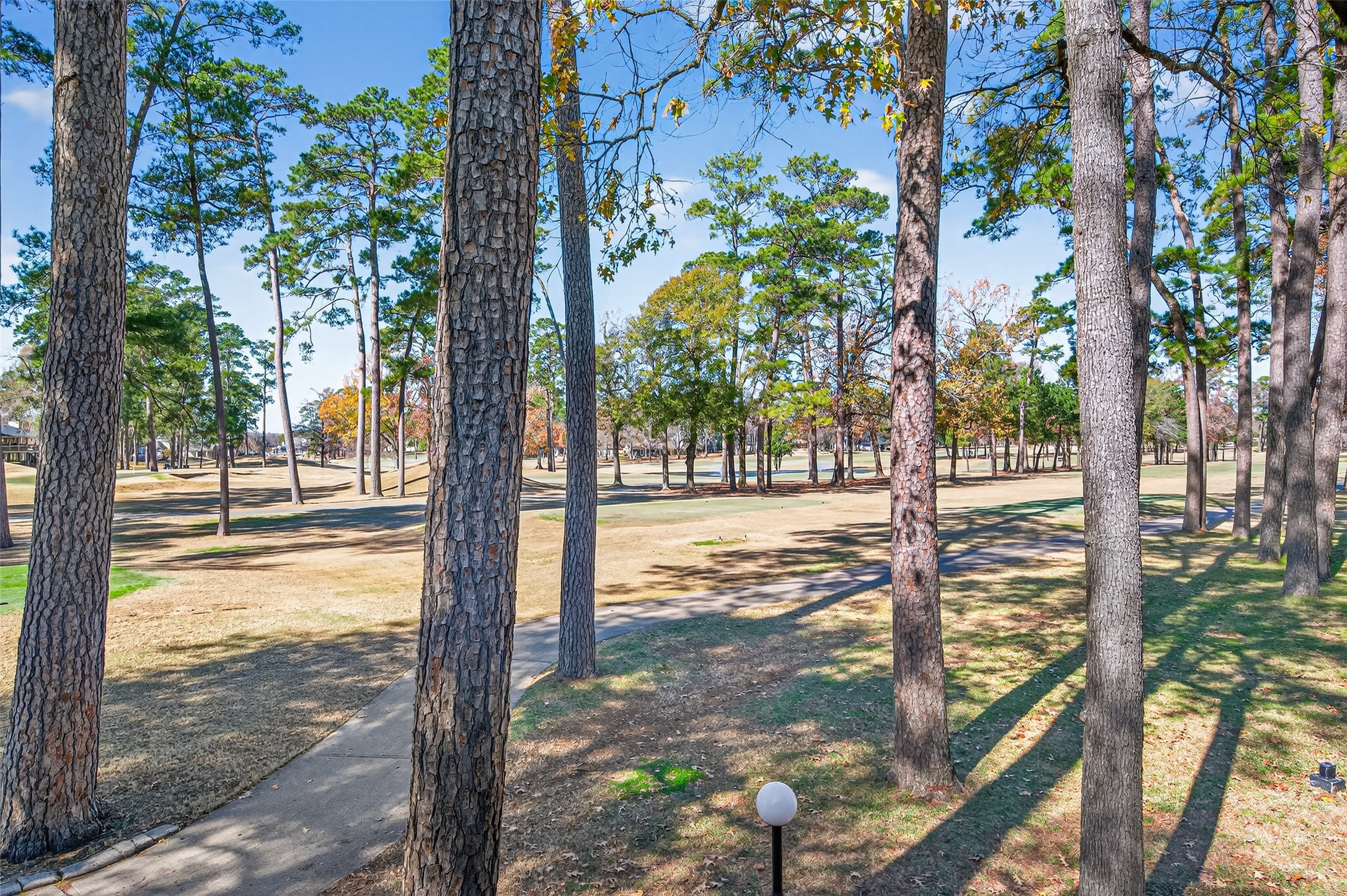 12900 Walden Road, Unit 108A Montgomery, TX 77356 - Photo 42 of 42 a view of a yard with yellow tree