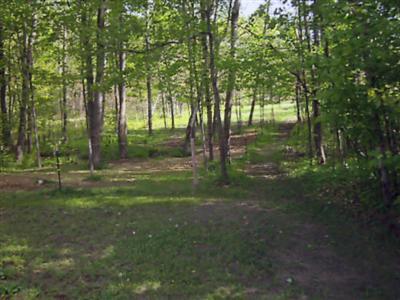 7718 Eisenhower Road Lakeview, MI 48850 - Photo 23 of 24 Additional Photo