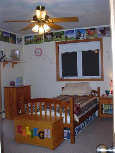 7718 Eisenhower Road Lakeview, MI 48850 - Photo 9 of 24 Additional Photo