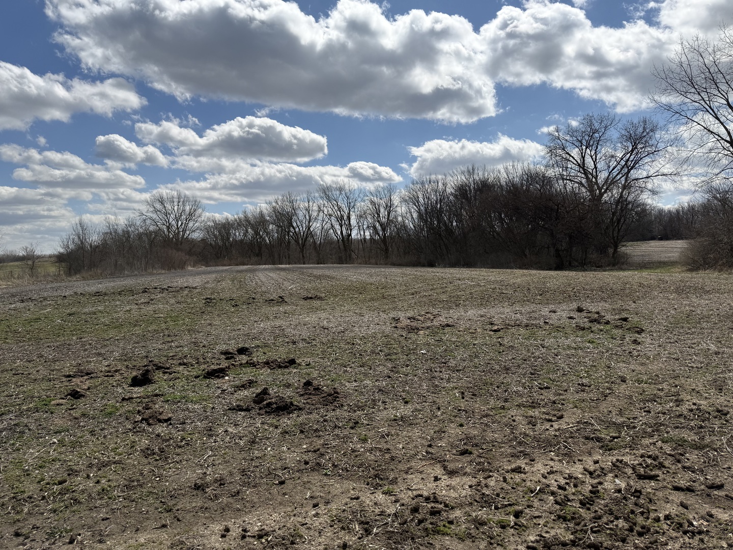 Lot A Lenz Road Elgin, IL 60124 - Photo 6 of 11 Gallery Image 6