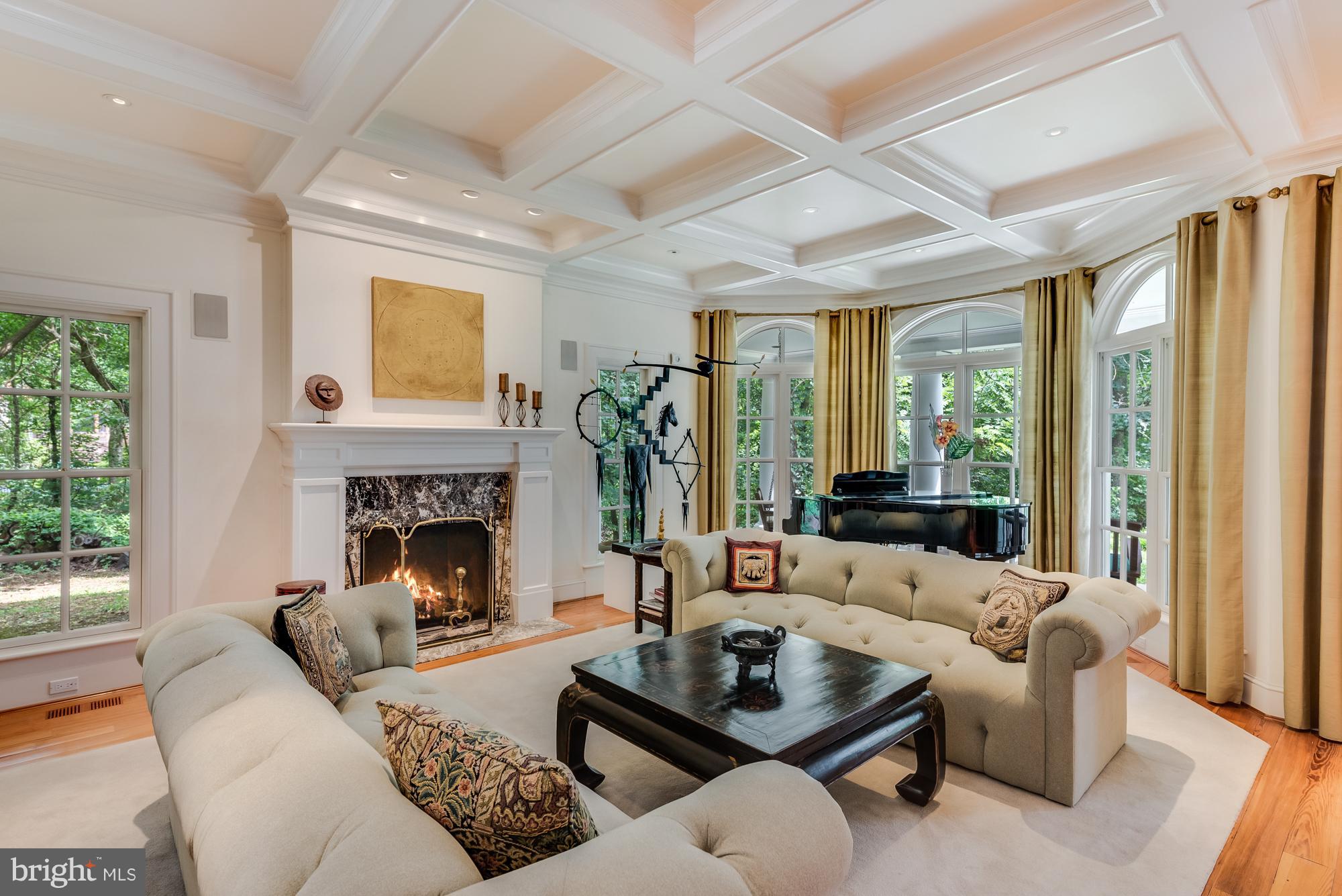 30 Shadow Point Court Edgewater, MD 21037 - Photo 7 of 28 Fireplace and tray ceilings accent the Living Room