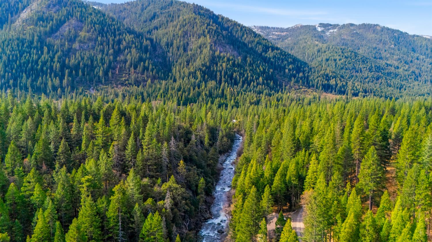 38 Valhalla Road Sierra City, CA 96125 - Photo 27 of 27 a view of a lush green forest