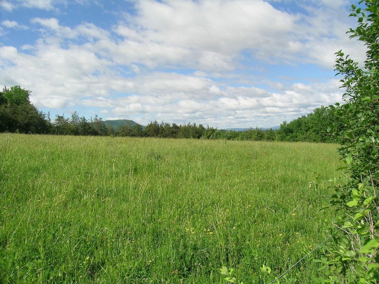 2996 Maple Street Vergennes, VT 05491 - Photo 11 of 23 Gallery Image 11