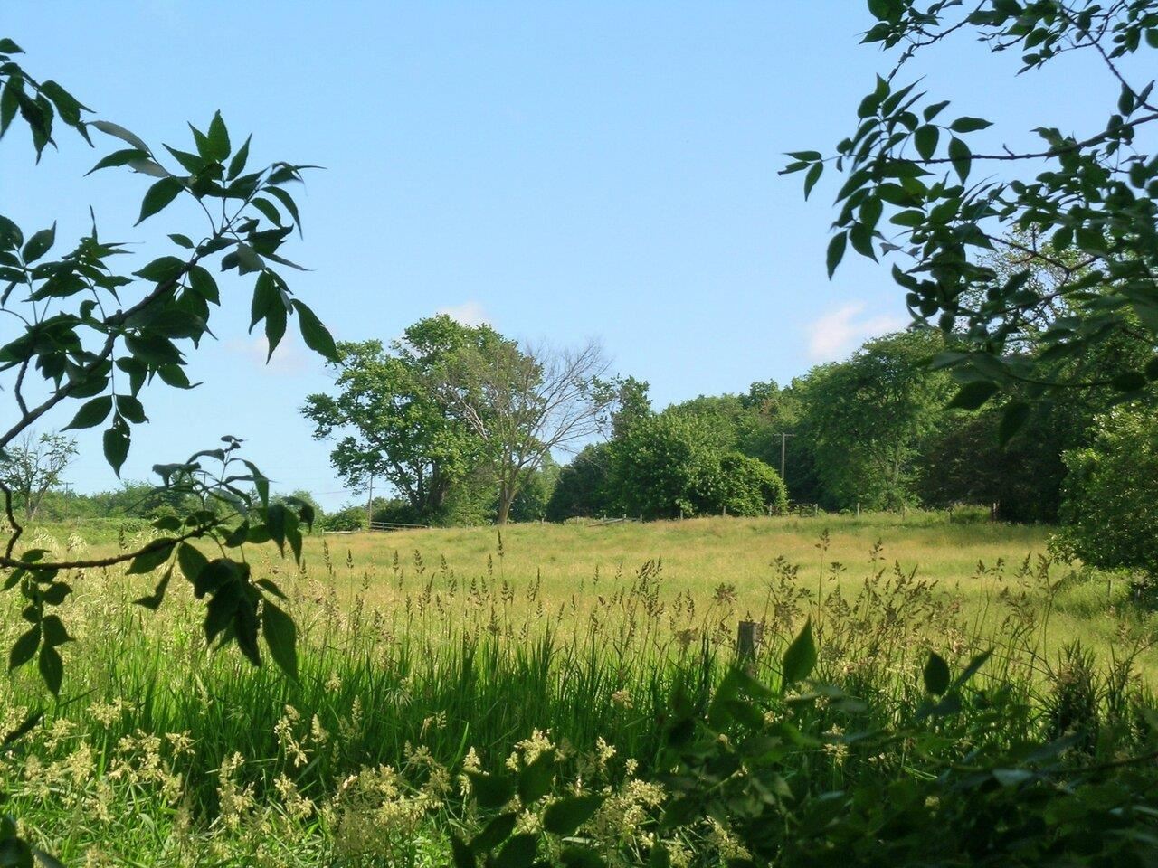 2996 Maple Street Vergennes, VT 05491 - Photo 23 of 23 Gallery Image 23