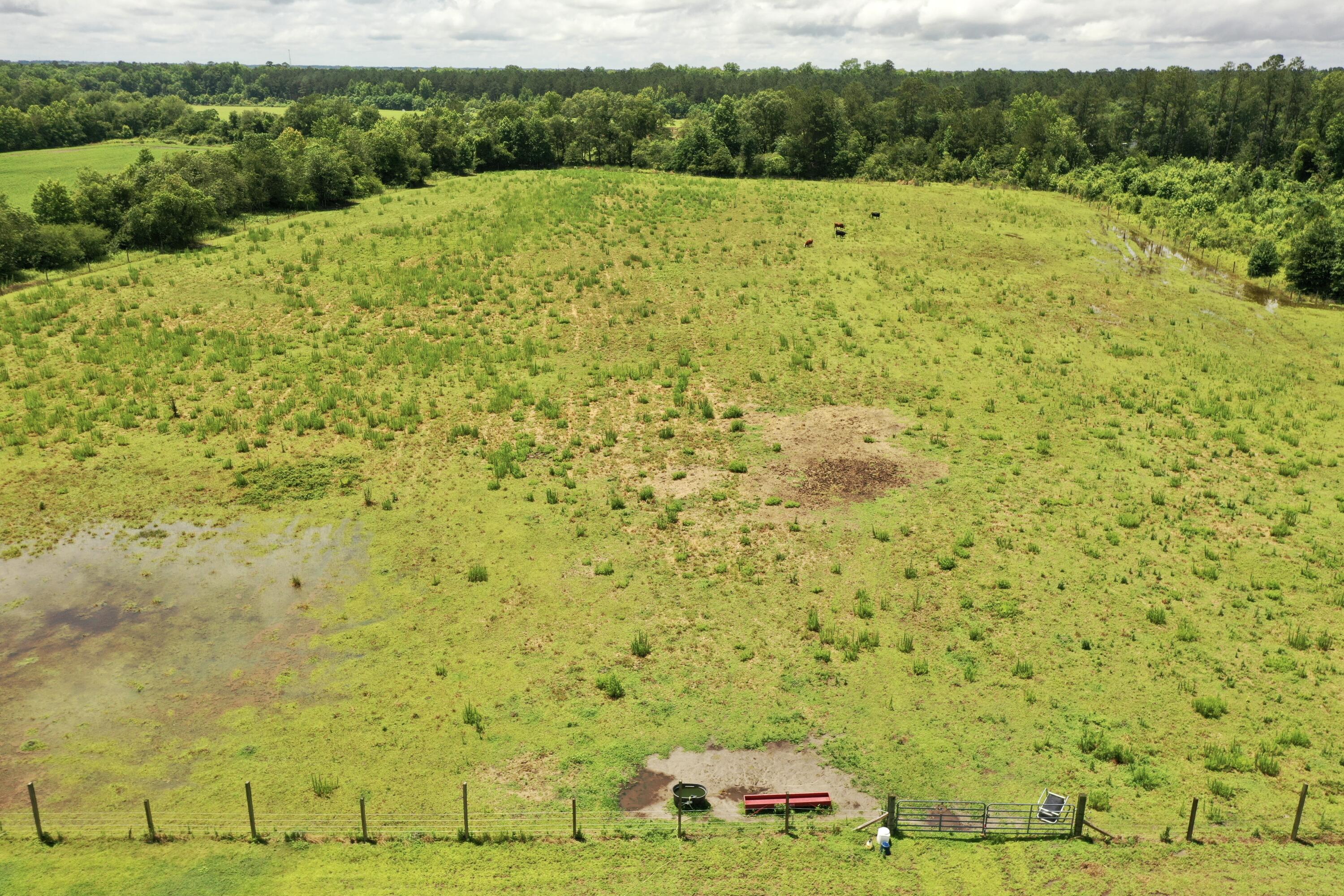 4420 Vance Road Holly Hill, SC 29059 - Photo 50 of 65 dji_0714
