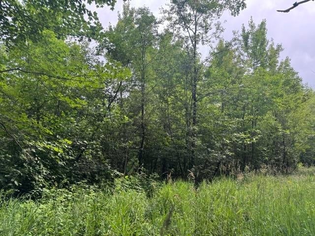 240701 Sawmill Road Wausau, WI 54403 - Photo 17 of 22 Gallery Image 17