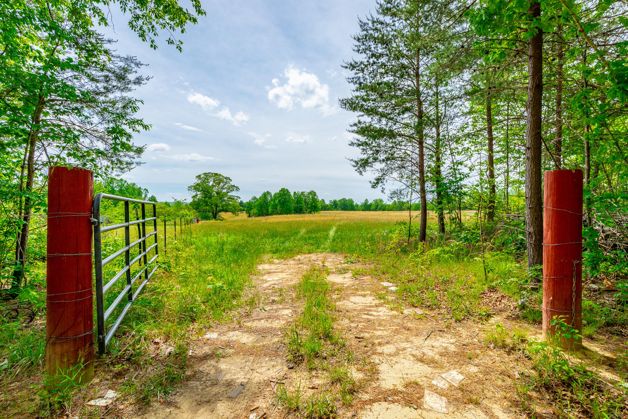 0 Ray Gadd Road Graysville, TN 37338 - Photo 64 of 109 Ray Gadd Road Lot HD-56