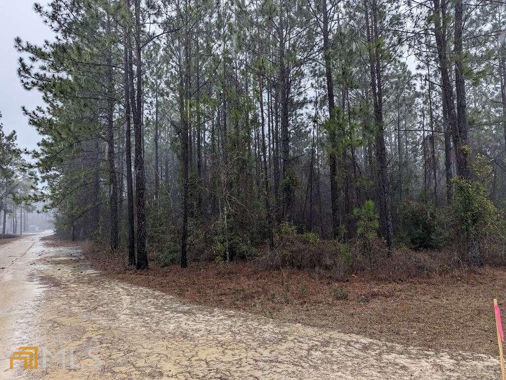 0 Lanes Bridge Road Jesup, GA 31545 - Photo 1 of 1 Gallery Image 1