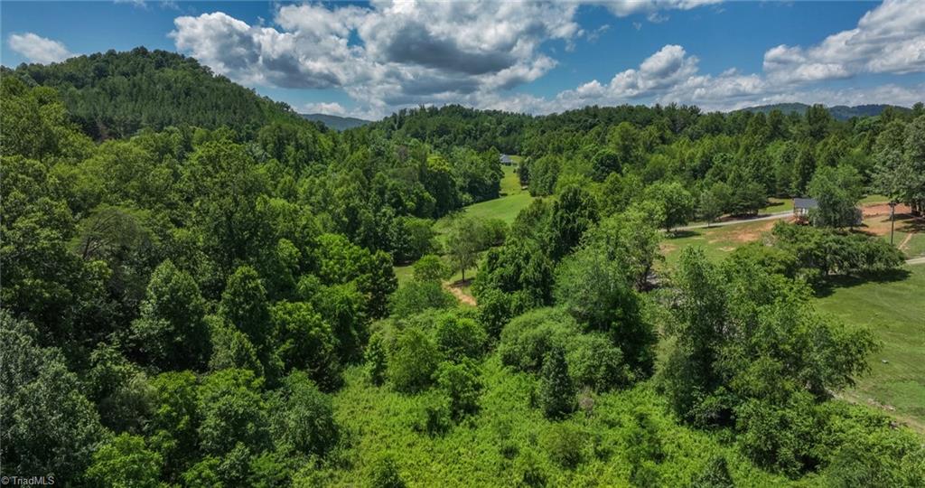 0 North Goforth Road Ferguson, NC 28624 - Photo 8 of 16