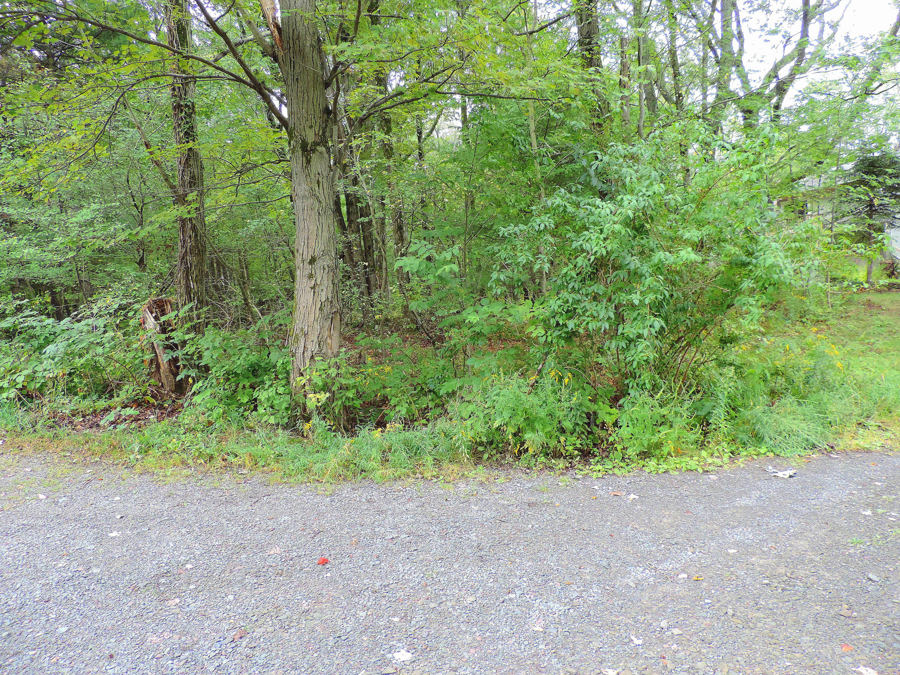 124 Kleinhans Road Hawley, PA 18428 - Photo 36 of 40