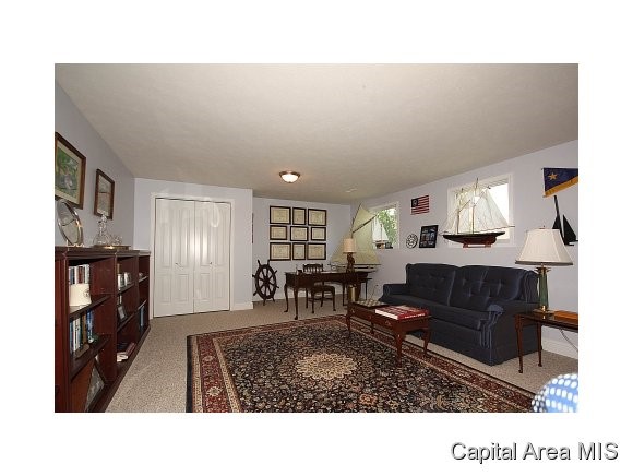 6505 Winterberry Lane Springfield, IL 62712 - Photo 24 of 24 Gallery Image 24