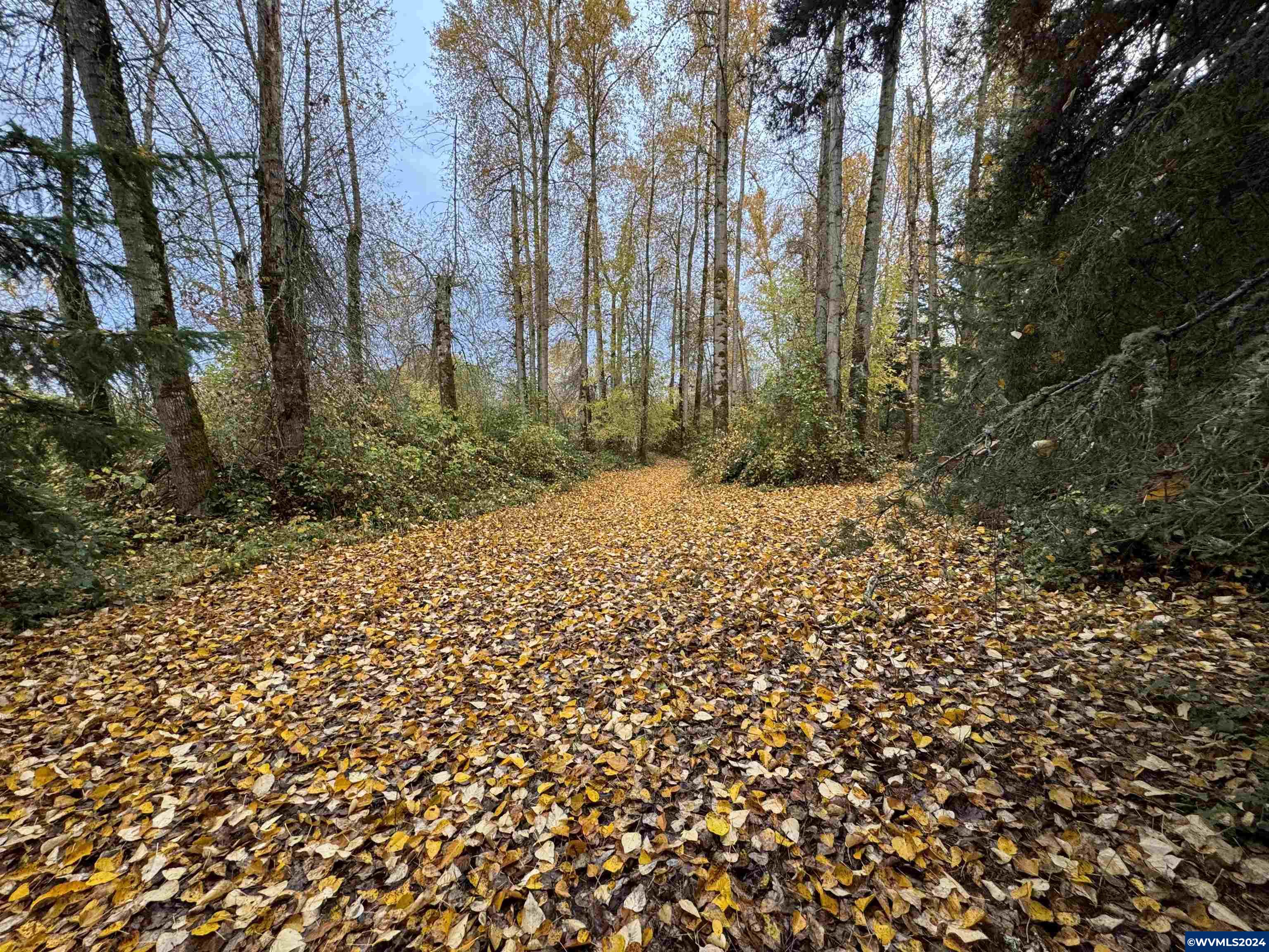 Lot 2 Matheny Road Gervais, OR 97026 - Photo 8 of 29