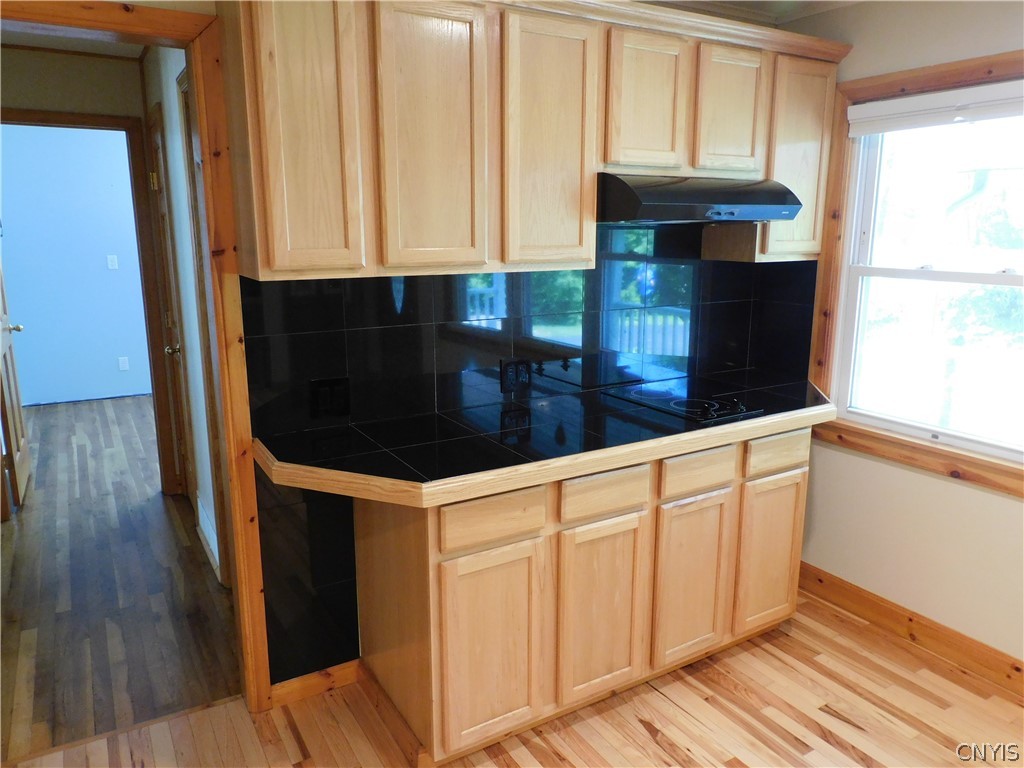 9014 Bielec Road Bridgeport, NY 13030 - Photo 4 of 30 Gallery Image 4