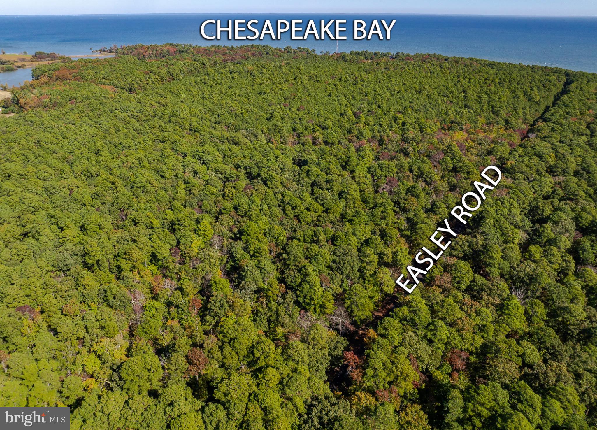 50645 Holly Point Road Dameron, MD 20628 - Photo 56 of 99