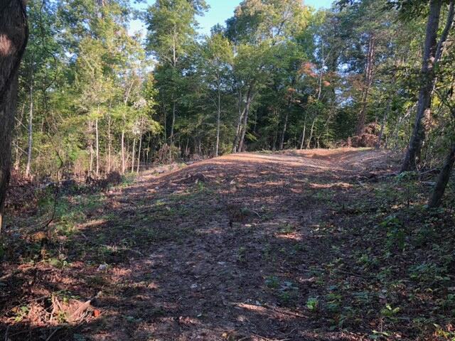 Greasy Hollow Rd Road Speedwell, TN 37870 - Photo 2 of 11 image4