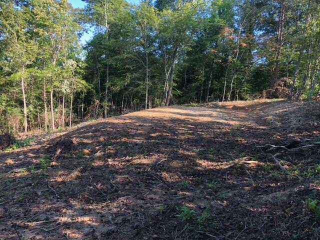 Greasy Hollow Rd Road Speedwell, TN 37870 - Photo 3 of 11 image6
