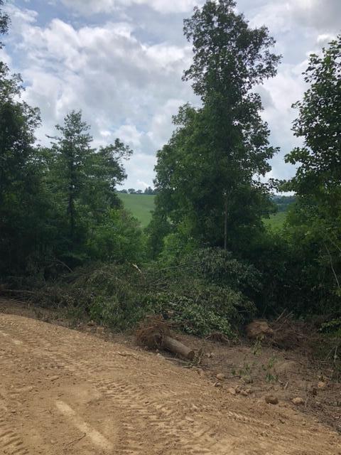 Greasy Hollow Rd Road Speedwell, TN 37870 - Photo 4 of 11 image7