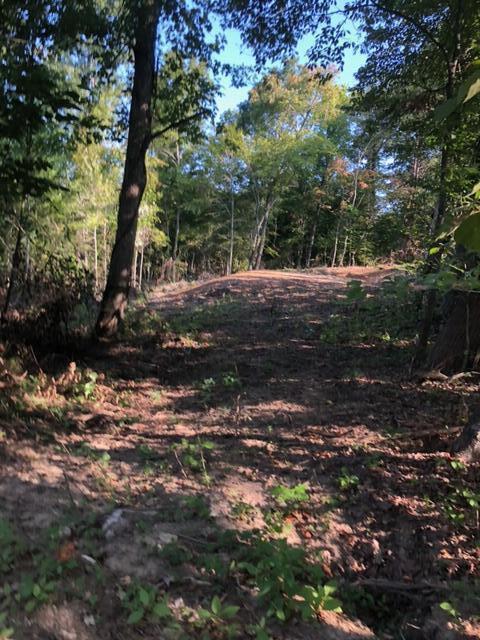 Greasy Hollow Rd Road Speedwell, TN 37870 - Photo 5 of 11 image1 (1)
