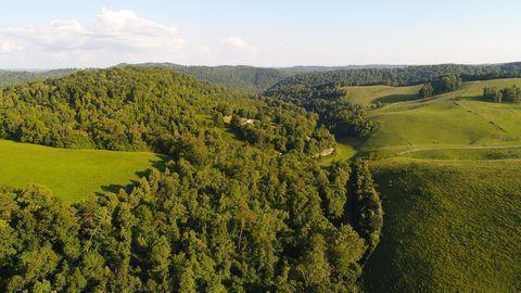 Greasy Hollow Rd Road Speedwell, TN 37870 - Photo 6 of 11 59_1141350_0_1611889251