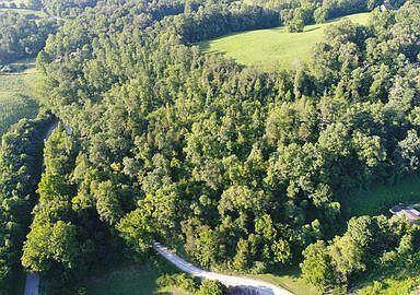 Greasy Hollow Rd Road Speedwell, TN 37870 - Photo 7 of 11 8ca36e2541649ff4eb693bb4efc43895-cc_ft_3