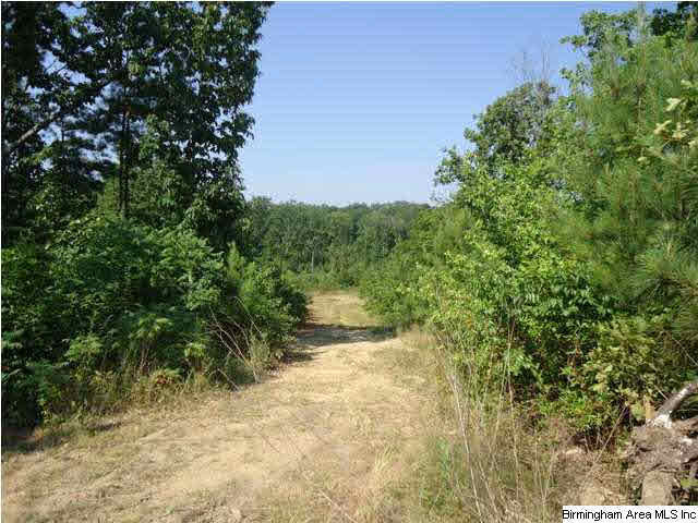 Mayo Road, Unit 96 Altoona, AL 35952 - Photo 4 of 23