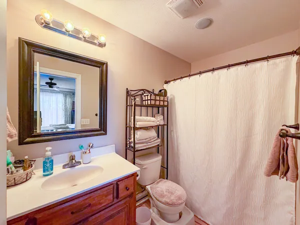 a bathroom with a sink a toilet a mirror and shower curtain