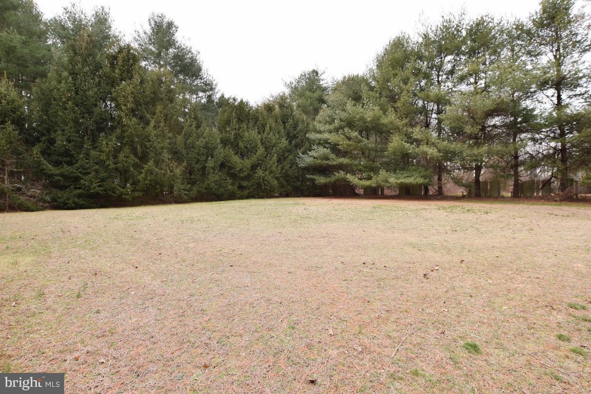 320 Creek Road Moorestown, NJ 08057 - Photo 7 of 26 Back of yard