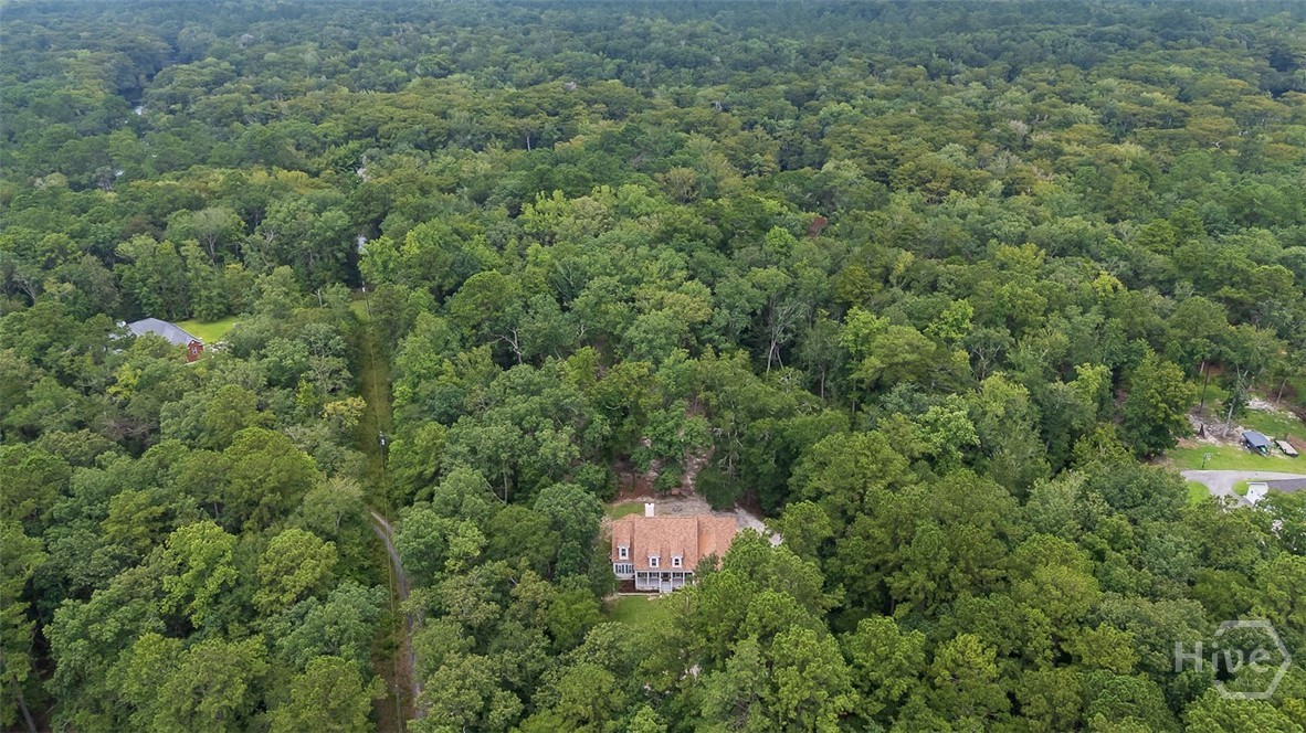 131 High Bluff Road Rincon, GA 31326 - Photo 56 of 65 Gallery Image 56