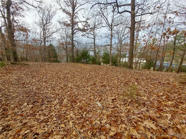 $329,900 | 142 Vision Drive, Camdenton, MO 65020