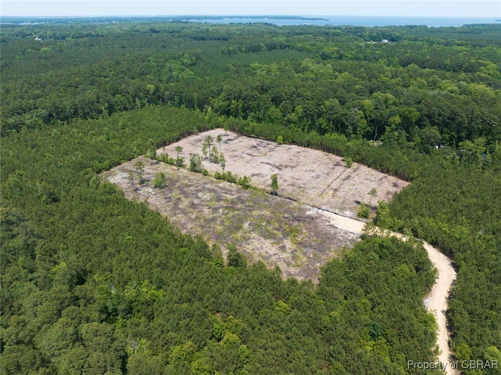 20-ac Ridge Road Cobbs Creek, VA 23035 - Photo 12 of 24