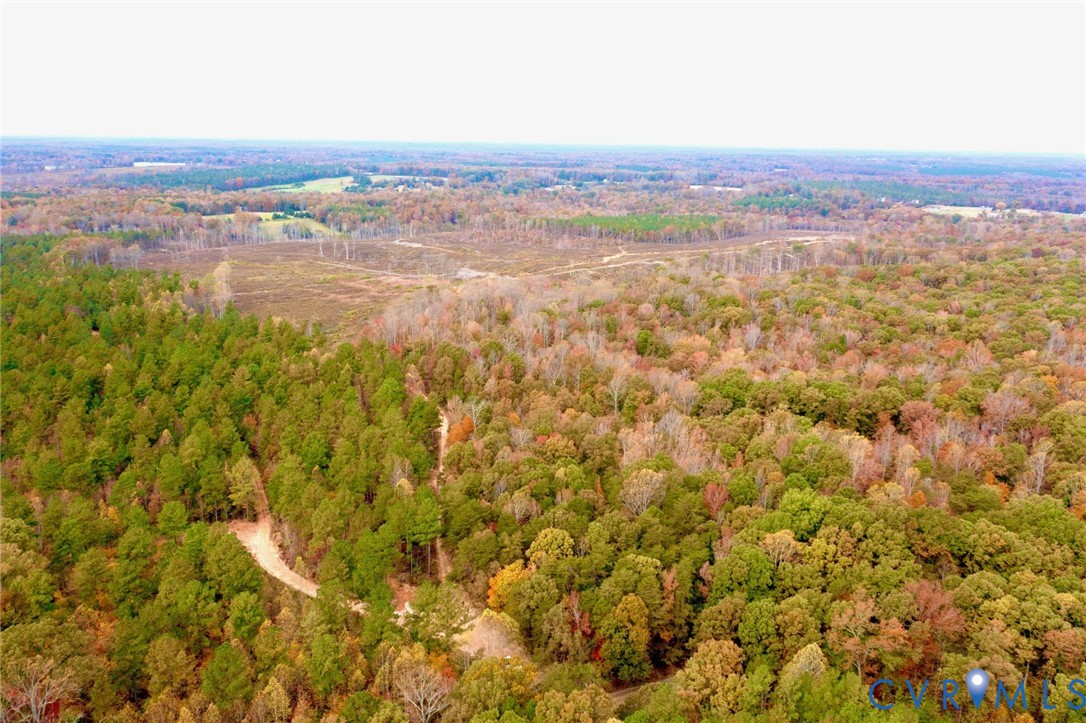 0 Ridge Road Powhatan, VA 23139 - Photo 2 of 5 Aerial view
