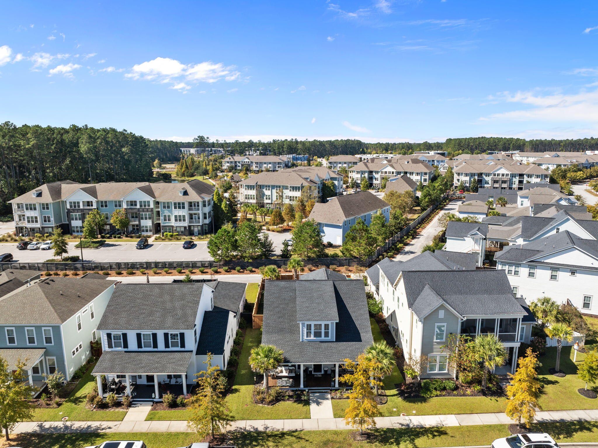 503 Scholar Way Summerville, SC 29486 - Photo 65 of 73 9-web-or-mls-DJI_0894