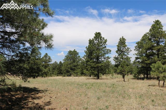 5545 Jason Road Colorado Springs, CO 80908 - Photo 25 of 34