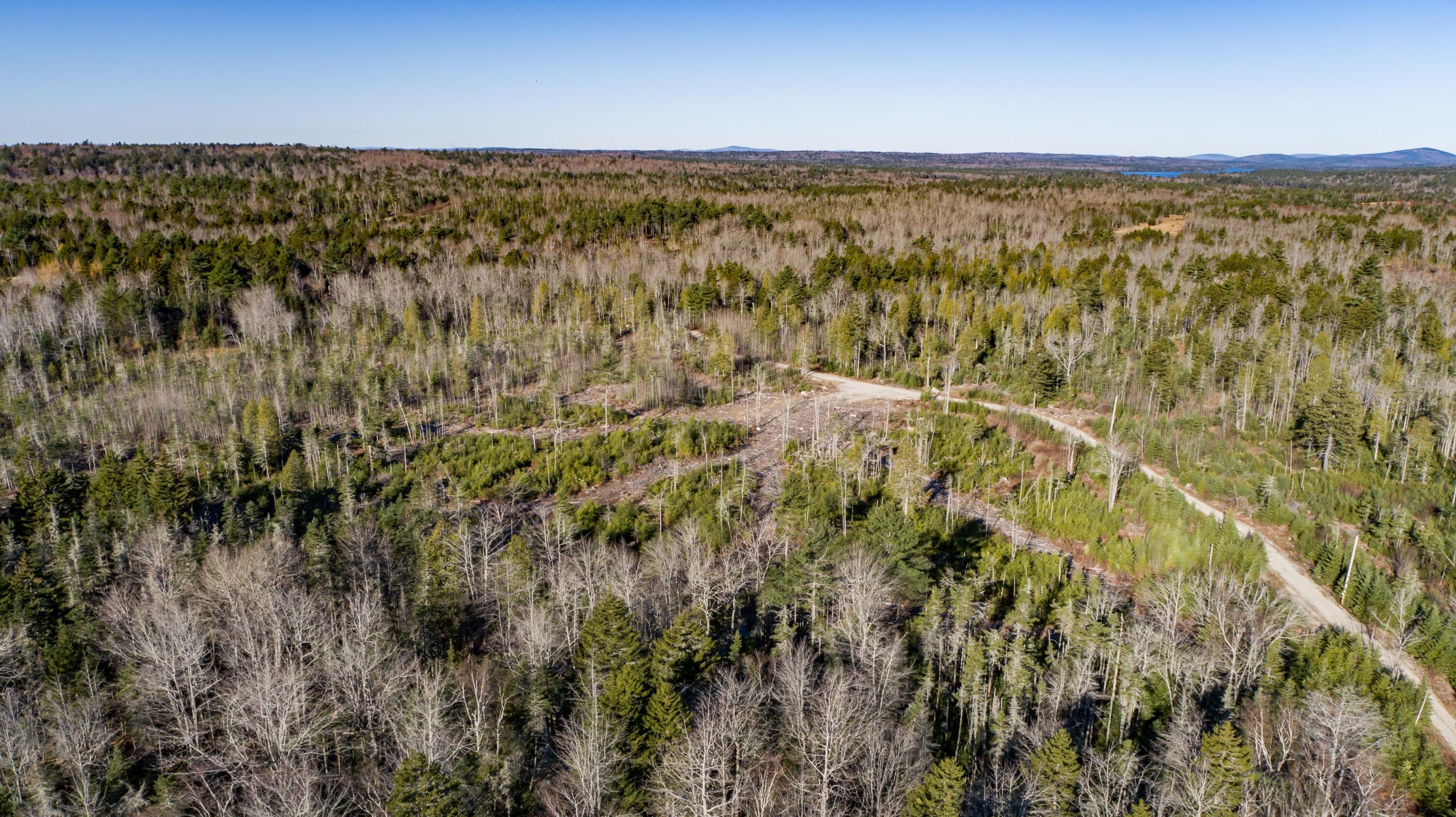 29-52a Ellsworth Road Blue Hill, ME 04614 - Photo 5 of 12 50 Acres