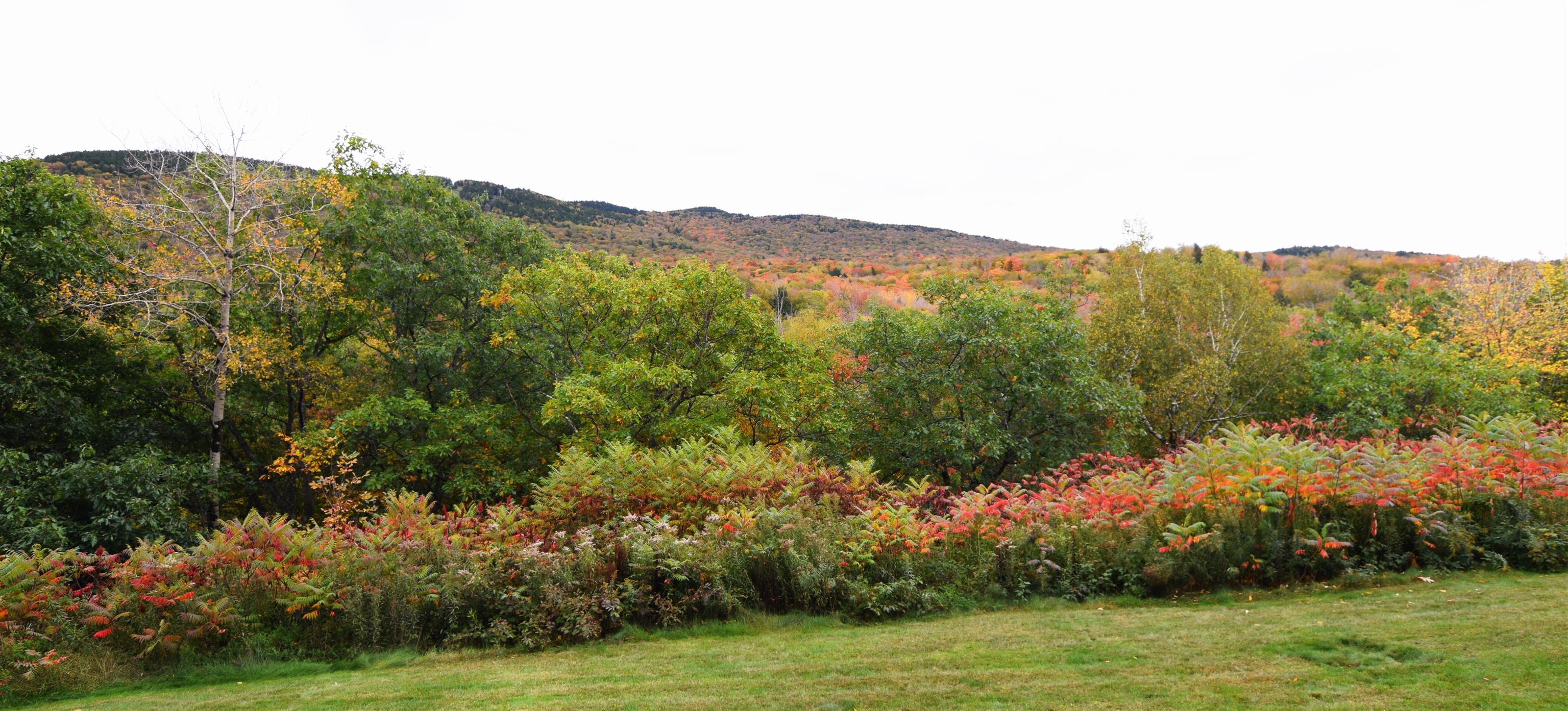 36 Lodge Road, Unit A108 Lincoln, NH 03251 - Photo 18 of 23 Gallery Image 18