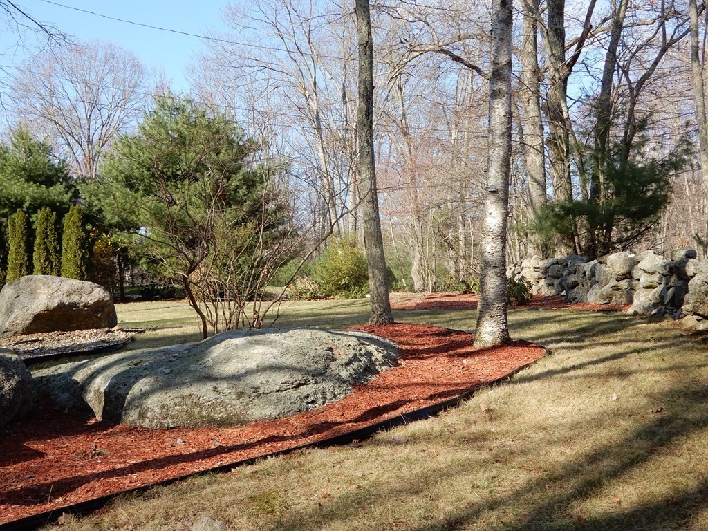 1013 Town Farm Road Warren, MA 01083 - Photo 4 of 38 a view of a yard with large trees