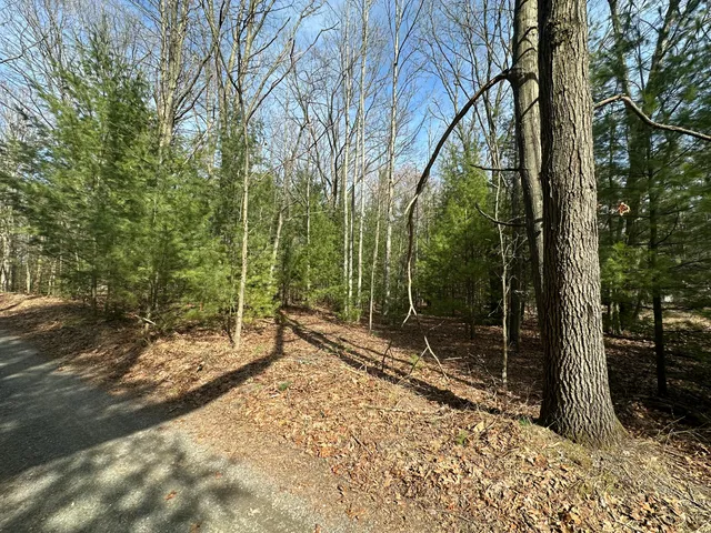 $125,000 | Morris Street, Pentwater, MI 49449