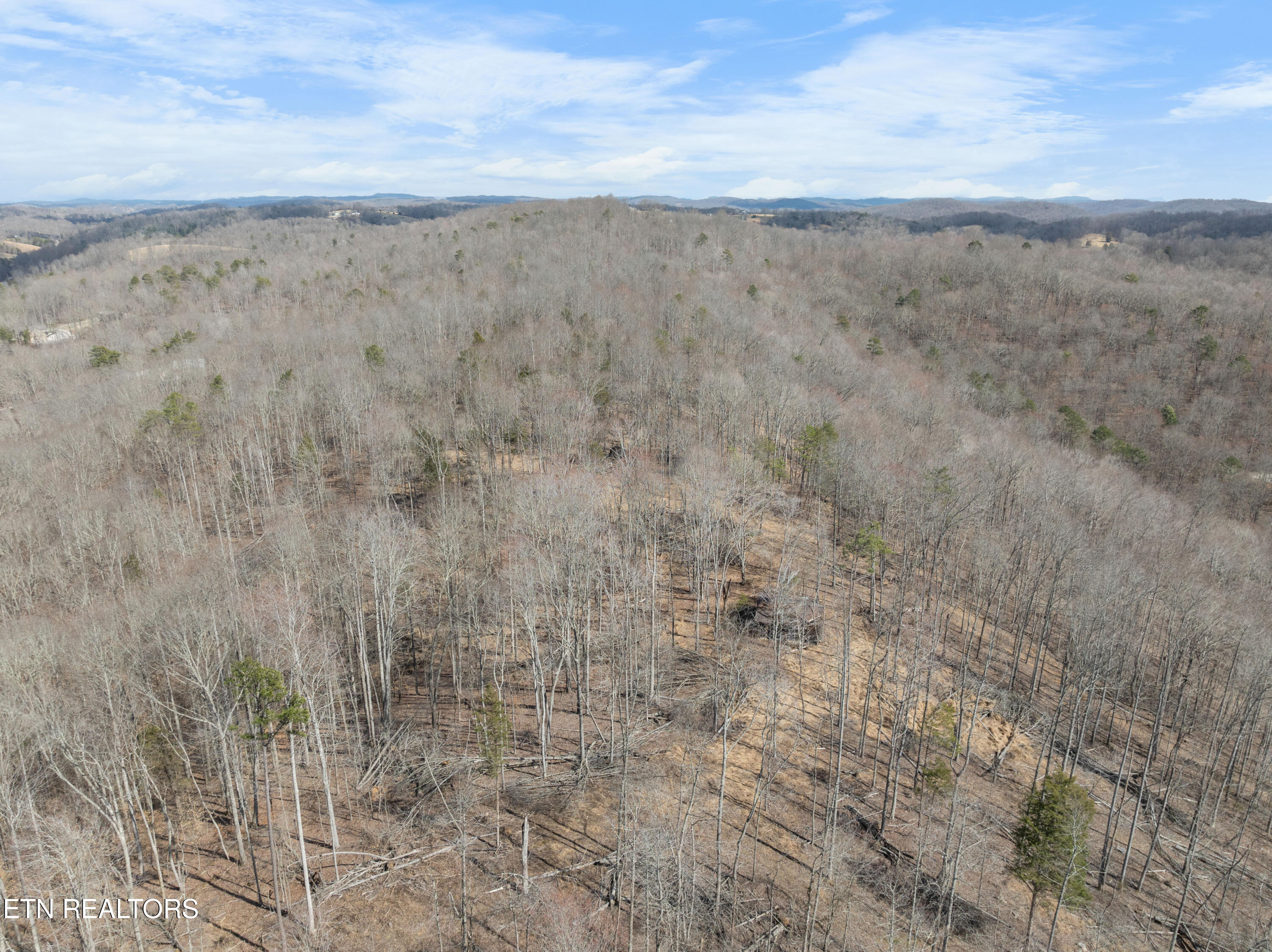 Cove Pointe Road La Follette, TN 37766 - Photo 18 of 42 DJI_0514
