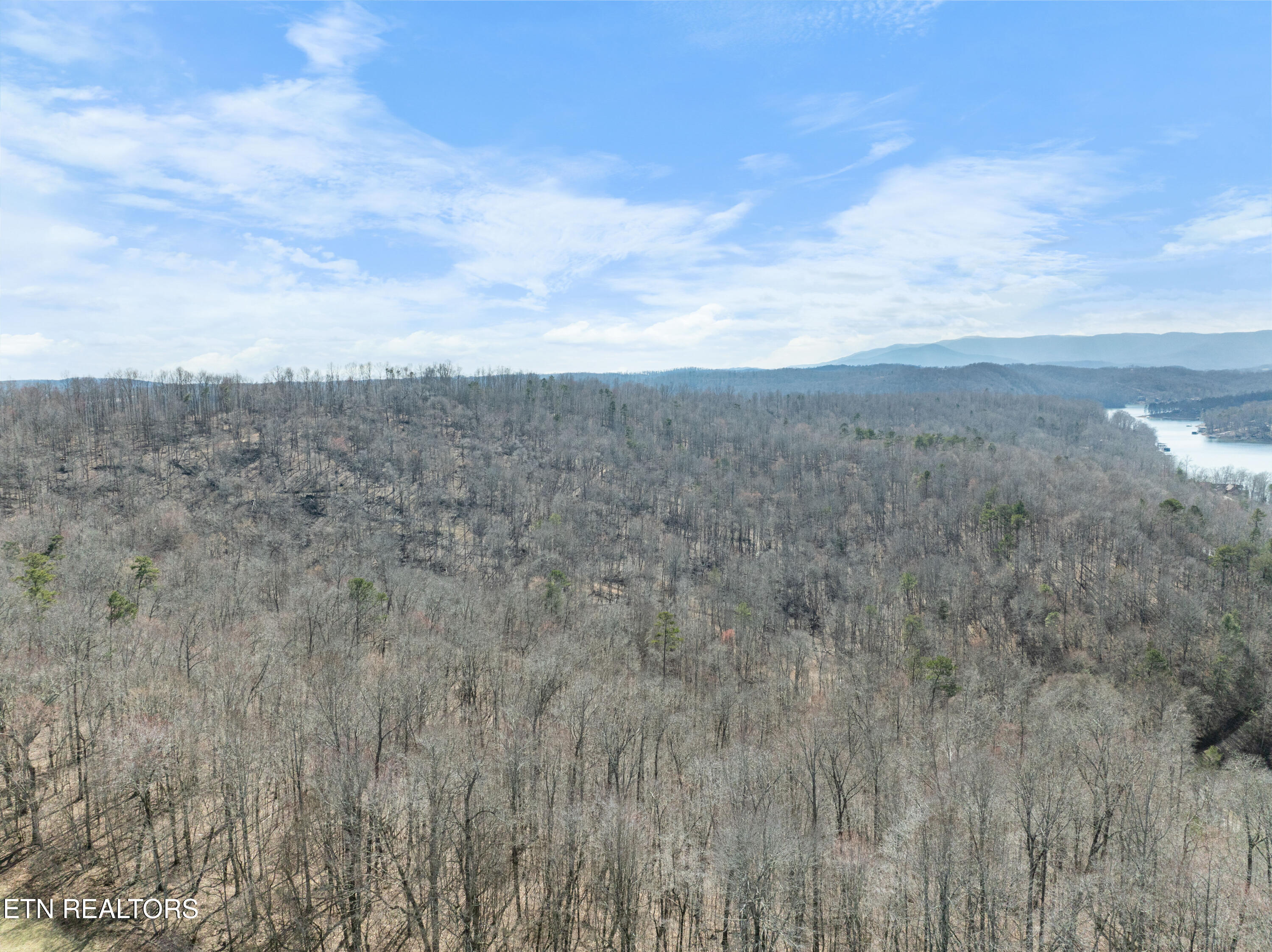 Cove Pointe Road La Follette, TN 37766 - Photo 20 of 42 DJI_0556