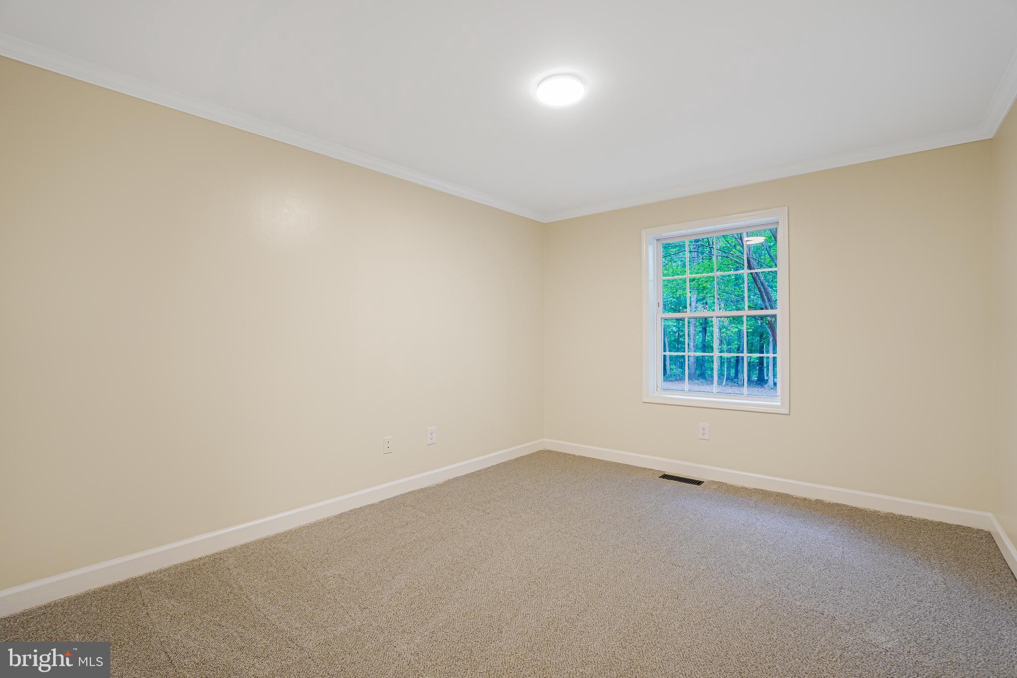 767 Loving Road Zion Crossroads, VA 22942 - Photo 14 of 33 an empty room with a window