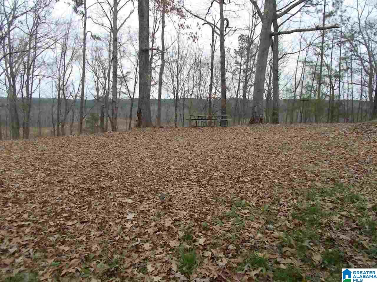 3108 Hull Road Empire, AL 35063 - Photo 41 of 44