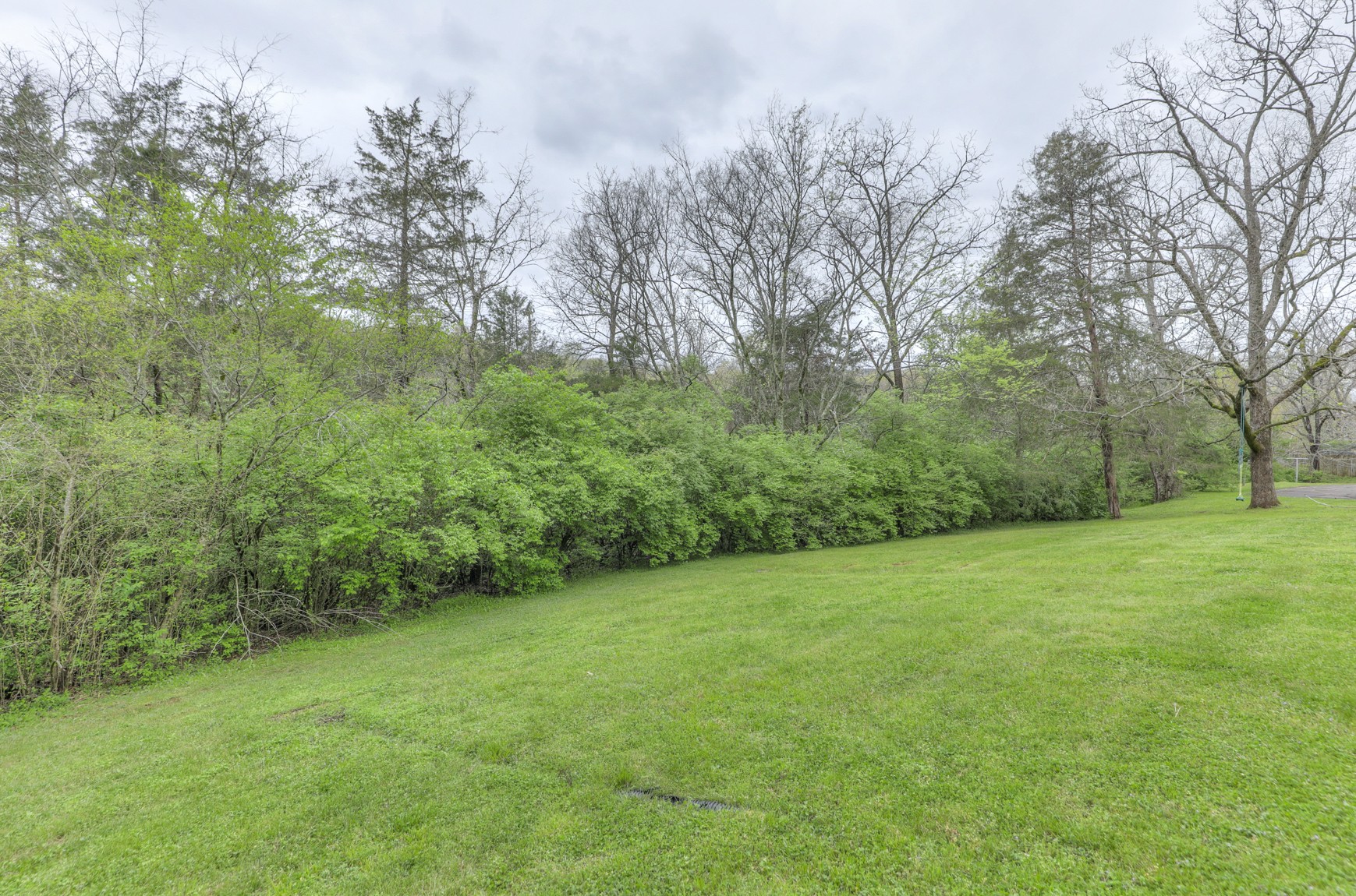 1217 Davidson Road Nashville, TN 37205 - Photo 36 of 43 a view of a big yard with trees