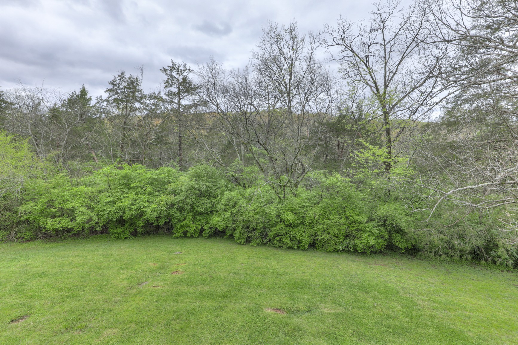 1217 Davidson Road Nashville, TN 37205 - Photo 43 of 43 a view of a green yard