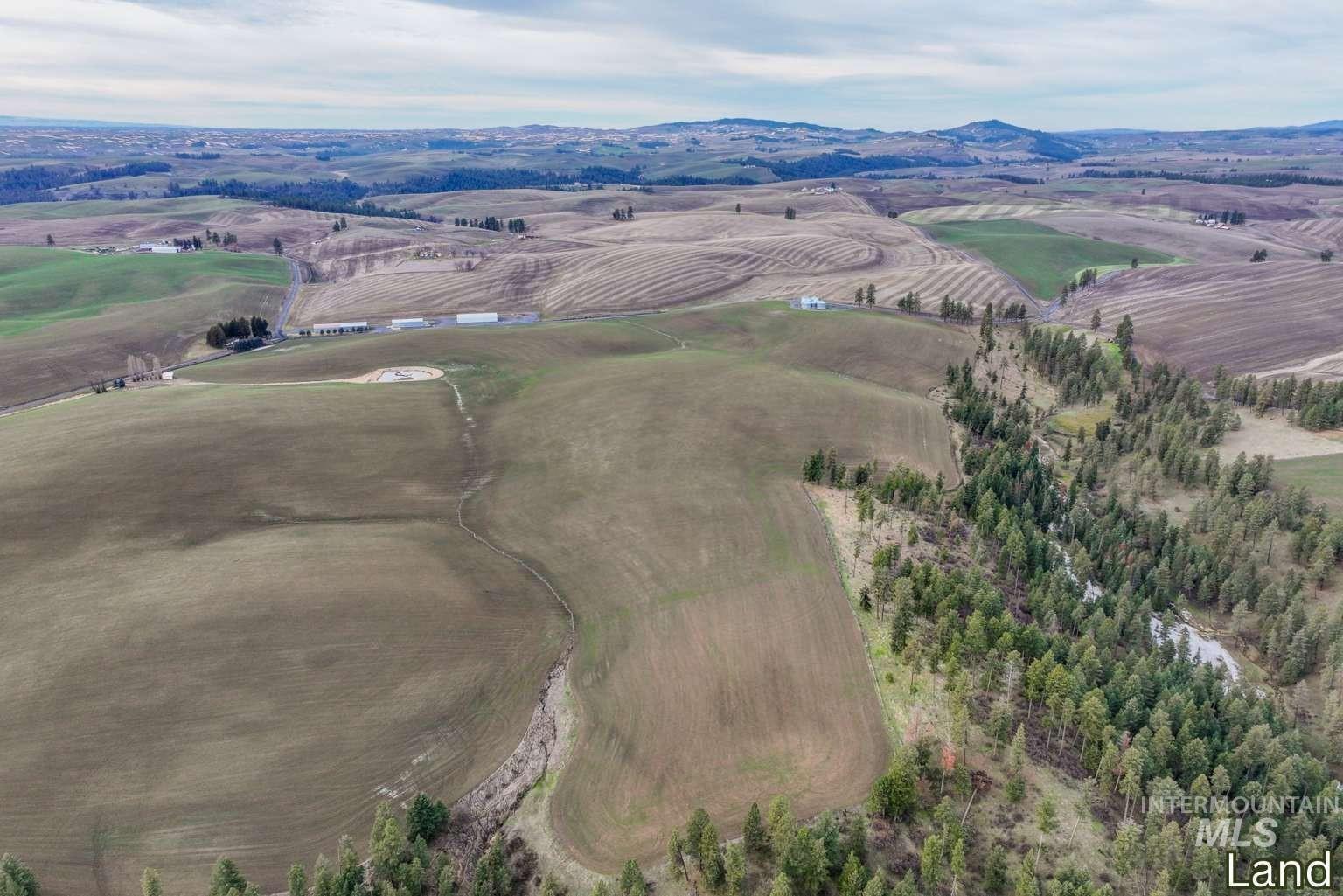 1040 Driscoll Ridge Road Troy, ID 83871 - Photo 5 of 31 Gallery Image 5