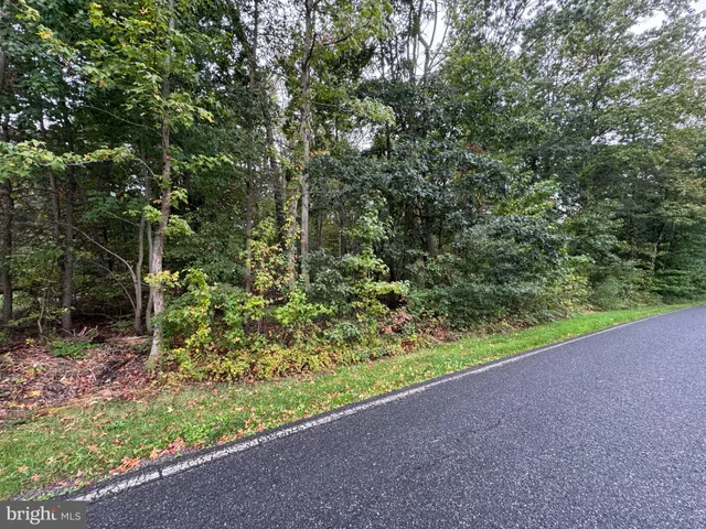 a view of a garden with plants