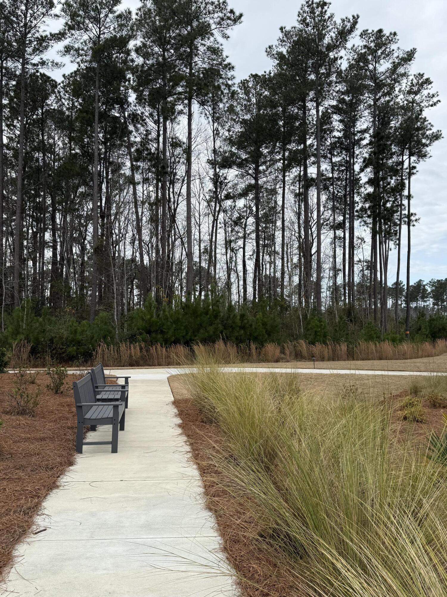 500 Ocean Mist Way Summerville, SC 29486 - Photo 15 of 19 IMG_7406