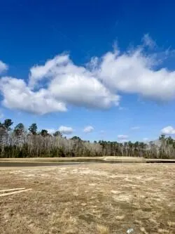 $481,990 | 500 Ocean Mist Way, Summerville, SC 29486